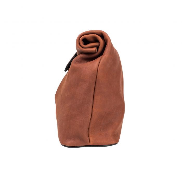 THE CURVE/CAMEL